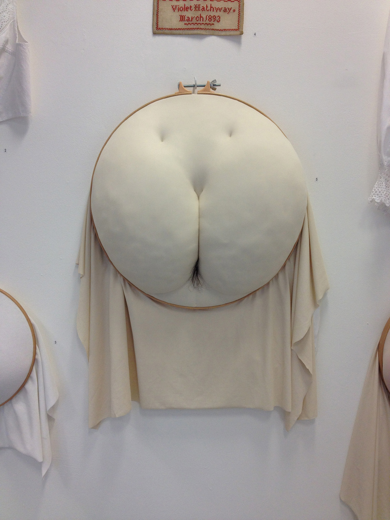 Салли Хеветт, Sally Hewett, Художница вышивает волосатые соски, растяжки, целлюлит 