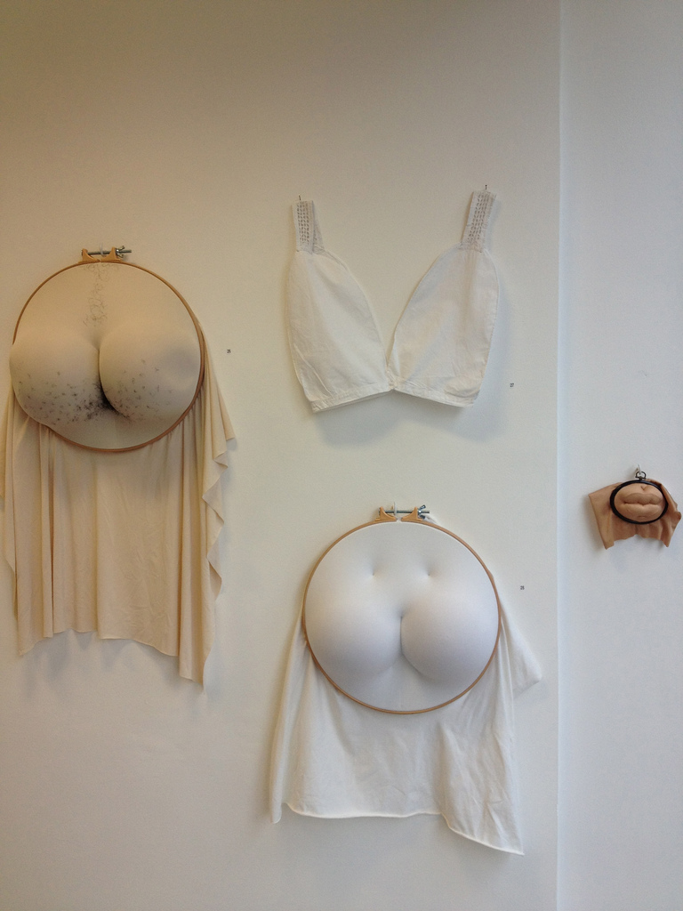 Салли Хеветт, Sally Hewett, Художница вышивает волосатые соски, растяжки, целлюлит 