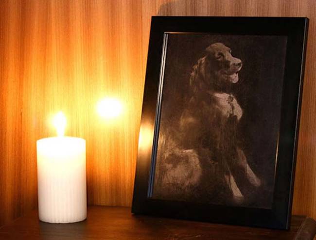 что можно сделать из праха, что сделать с прахом после кремации, что сделать с пеплом человека