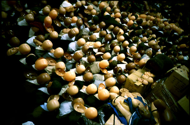 Обман, замена, кино, съемки фильма, вместо, массовка, манекены, куклы