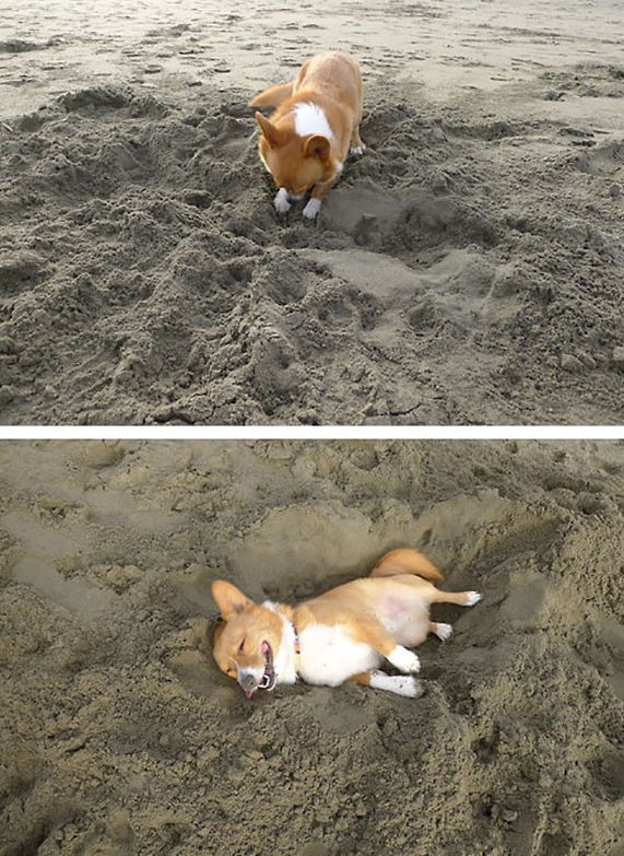 Позитив, юмор, смешные фотографии,прикол