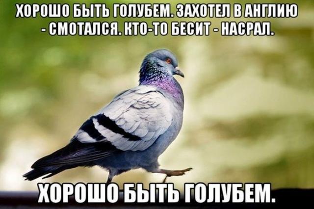 Позитив, юмор, смешные фотографии,прикол