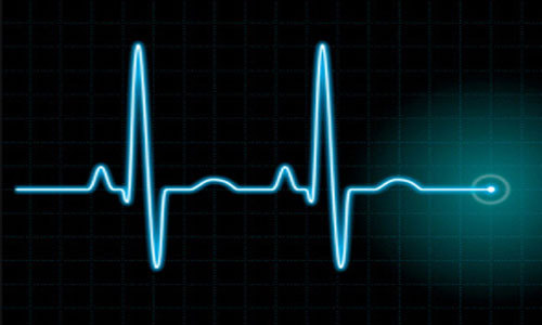 Альманах, познавательное, факты, спорим, вы не знали