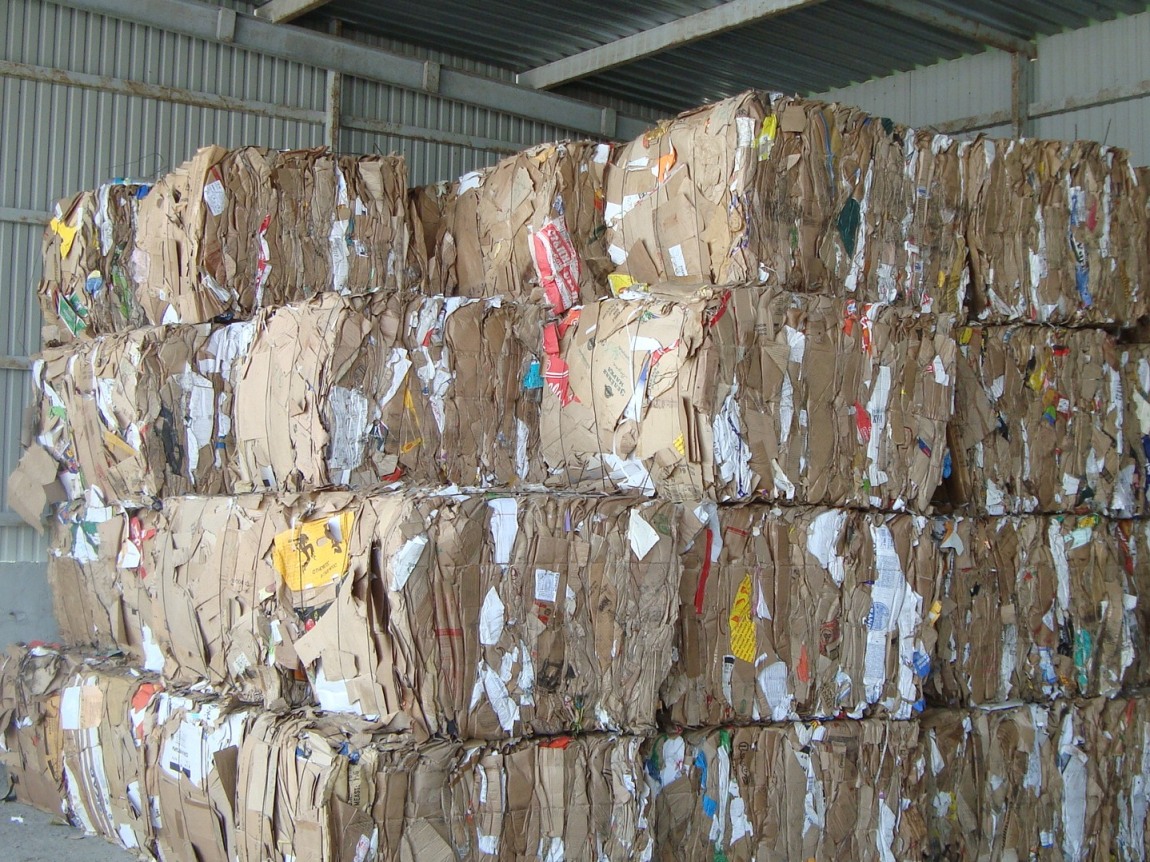 Альманах, познавательное, факты, спорим, вы не знали