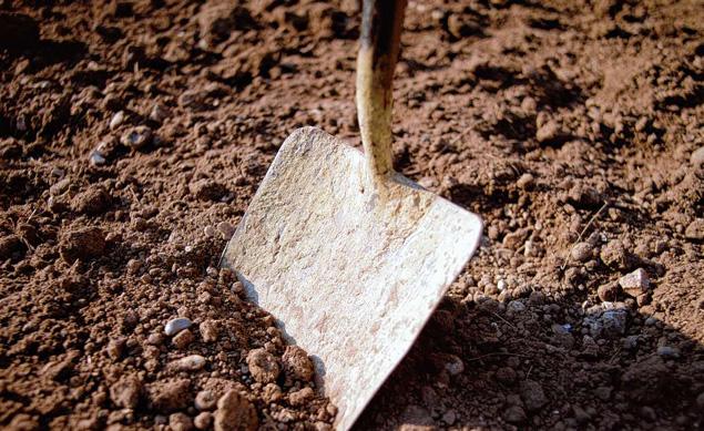 Истории, о людях, похороненных заживо, погребенных, могильщик