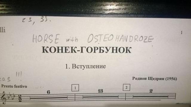 Позитив, юмор, смешные фотографии,прикол