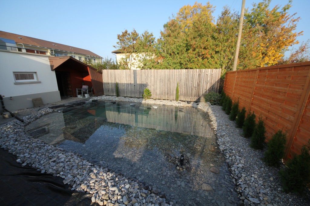 бассейн на заднем дворе, бассейн своими руками, бассейн дома