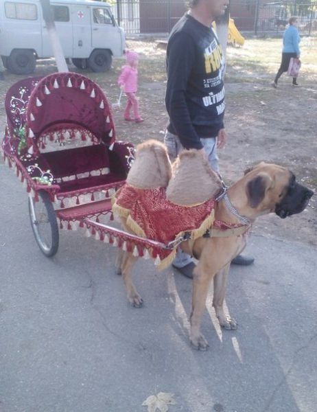 Умом Россию не понять XXIII умом россию не понять угадай страну россия удивительная страна