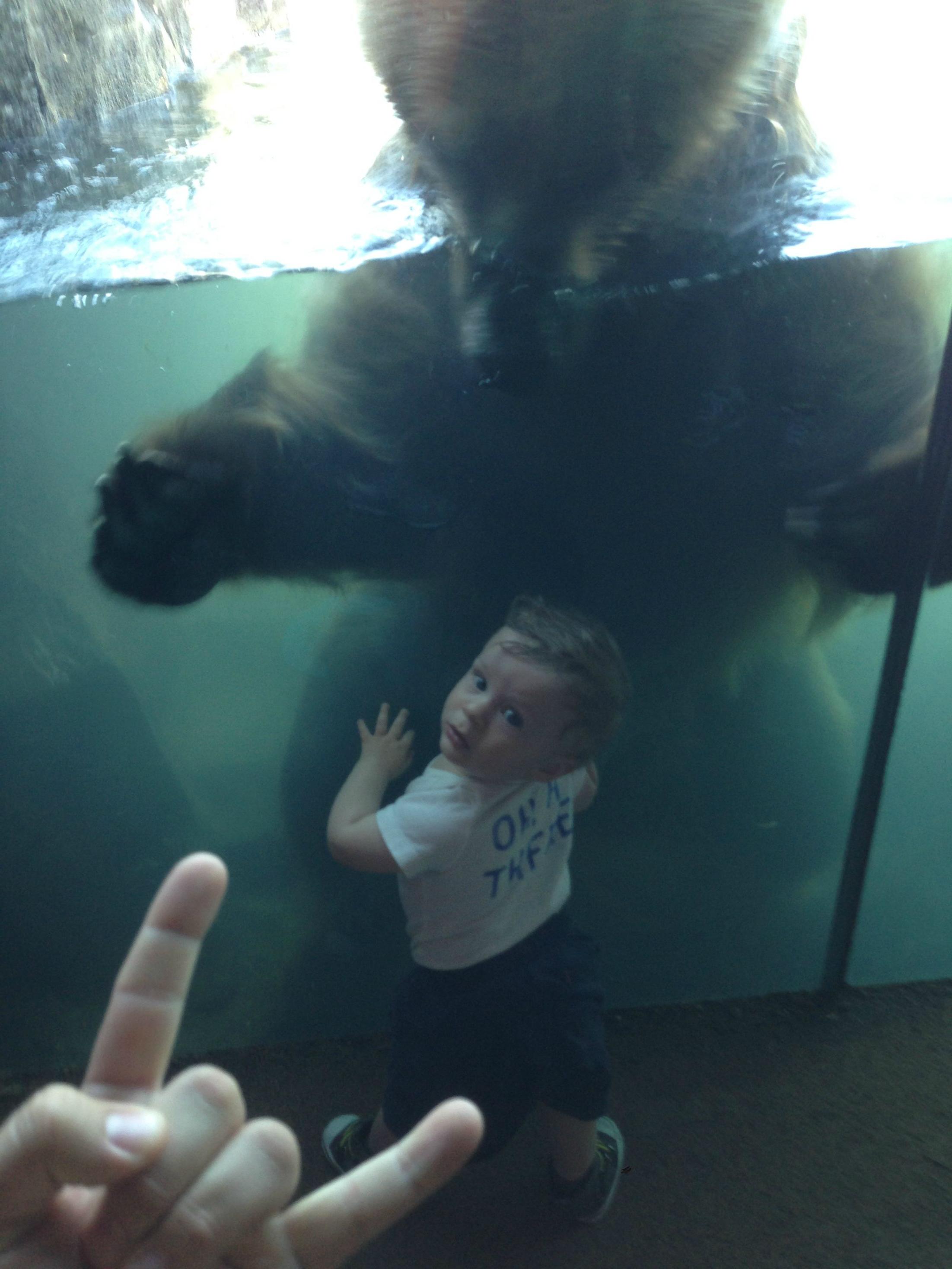 Папа металлист, фотограф Брайан Реда, Brian Reda, рок жест коза, ребенок возле медведя