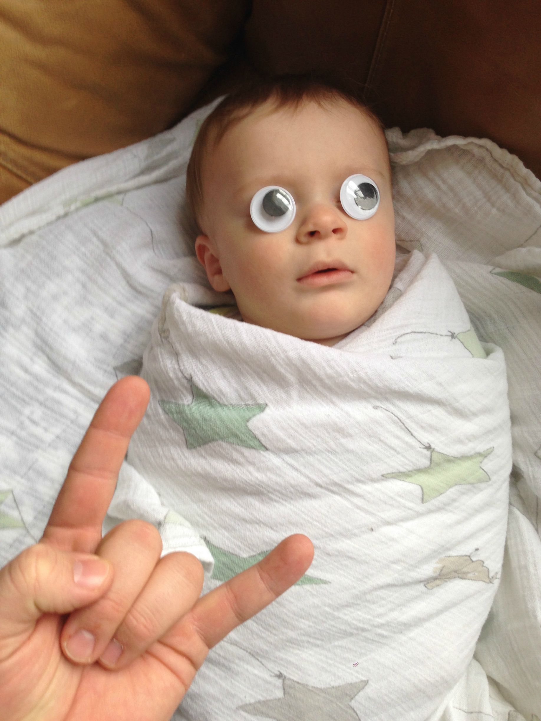 Папа металлист, фотограф Брайан Реда, Brian Reda, рок жест коза, ребенок возле медведя