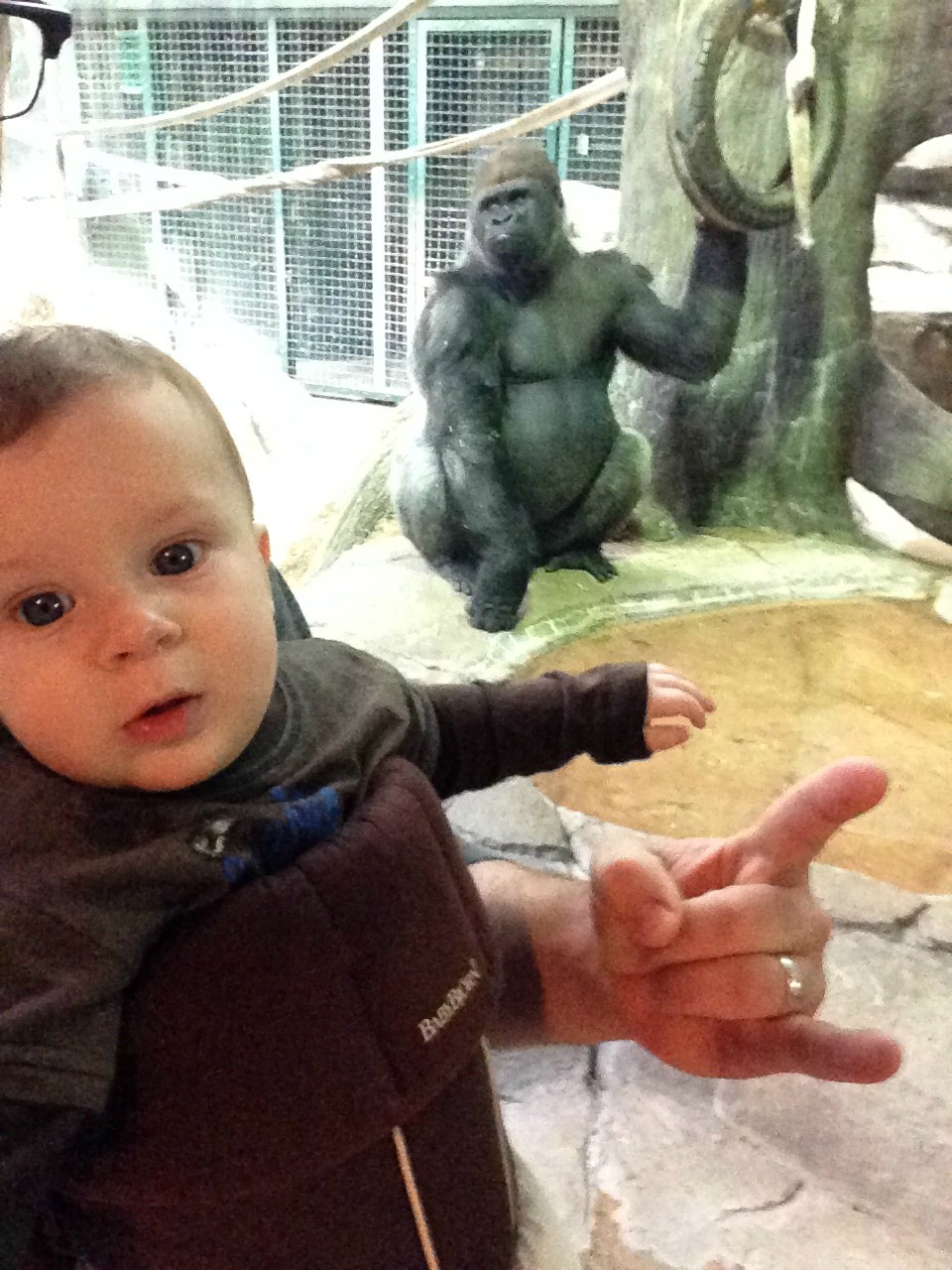 Папа металлист, фотограф Брайан Реда, Brian Reda, рок жест коза, ребенок возле медведя