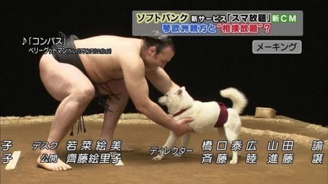 Странные снимки, фотографии не поддающиеся объяснению, странные смешные люди