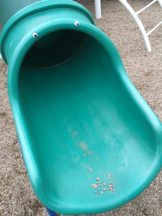 30 причин, доказывающих, что глаза на липучке это безумно весело глаза на липучке, семшно глаза на липучке, Обама глаза на липучке