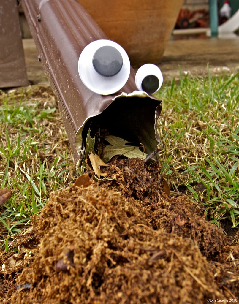 30 причин, доказывающих, что глаза на липучке это безумно весело глаза на липучке, семшно глаза на липучке, Обама глаза на липучке