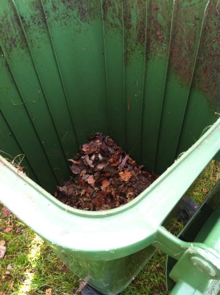 неожиданные вещи, непредсказуемые ситуации,