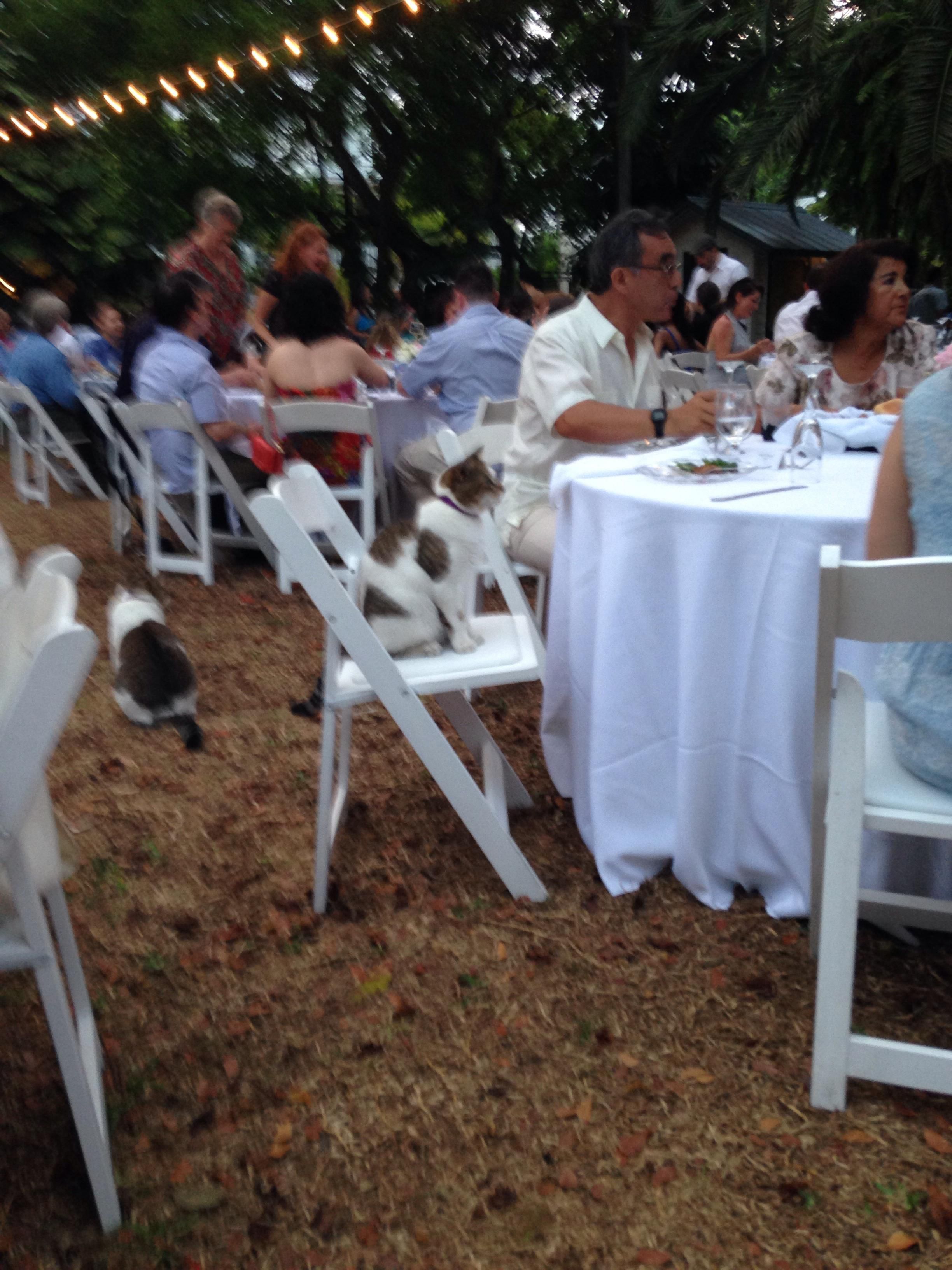 неожиданные вещи, непредсказуемые ситуации,