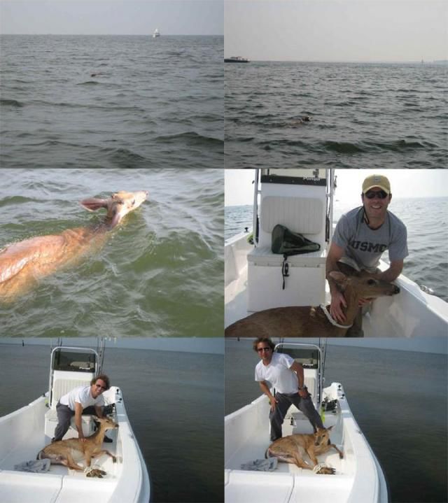 неожиданные вещи, непредсказуемые ситуации,