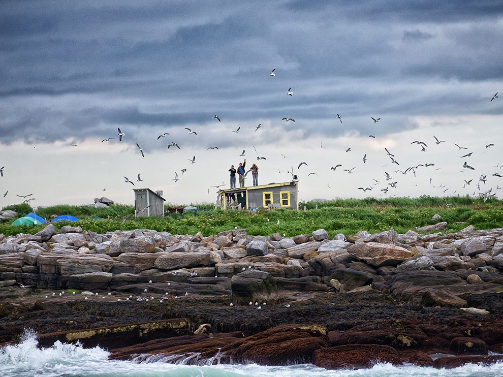 Лучшие фотографии дикой природы от National Geographic за август 2014 National Geographic за август 2014, лучшие фотографии National Geographic