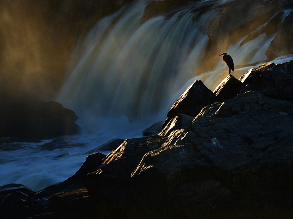 Лучшие фотографии дикой природы от National Geographic за август 2014 National Geographic за август 2014, лучшие фотографии National Geographic