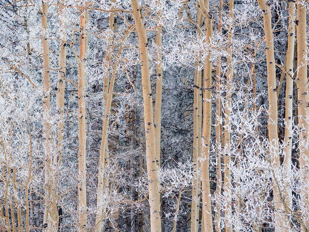 Лучшие фотографии дикой природы от National Geographic за август 2014 National Geographic за август 2014, лучшие фотографии National Geographic