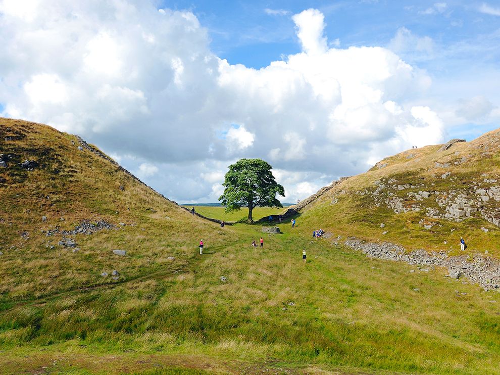 Лучшие фотографии дикой природы от National Geographic за август 2014 National Geographic за август 2014, лучшие фотографии National Geographic