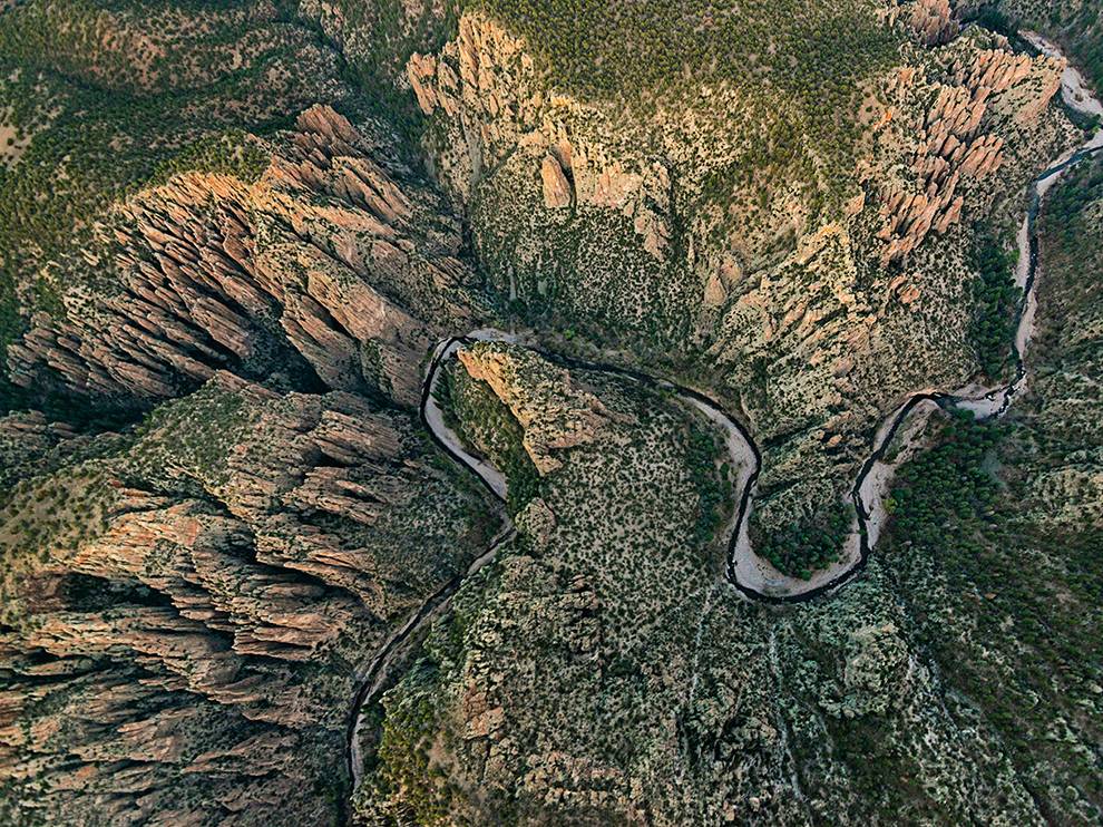 Лучшие фотографии дикой природы от National Geographic за август 2014 National Geographic за август 2014, лучшие фотографии National Geographic