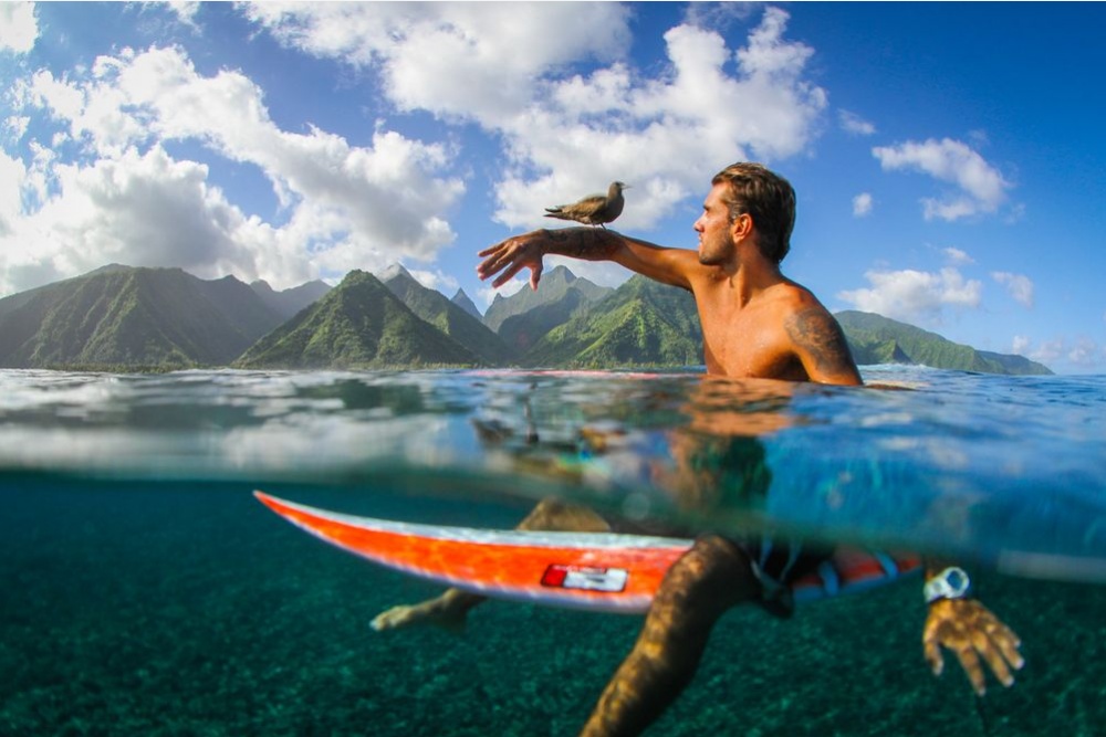 Лучшие фотографии дикой природы от National Geographic за август 2014 National Geographic за август 2014, лучшие фотографии National Geographic