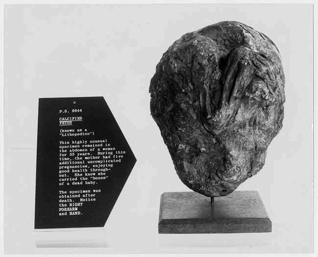 Интересные факты о самых необычных мумиях в истории истории о мумиях, самые интересные мумии, знаменитые мумии в истории