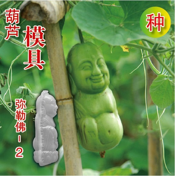 фрукты и овощи в виде знаменитостей, тыква в форме Мао Цзедуна