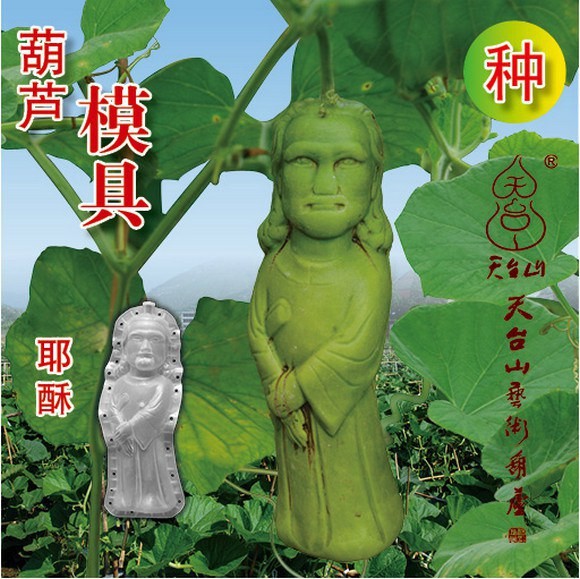 фрукты и овощи в виде знаменитостей, тыква в форме Мао Цзедуна