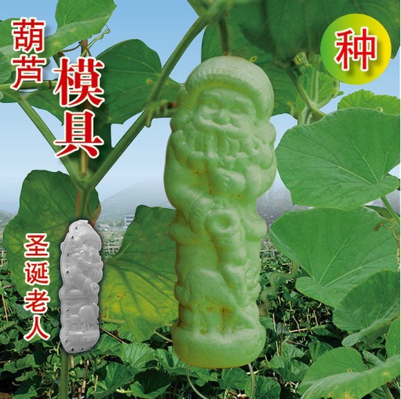 фрукты и овощи в виде знаменитостей, тыква в форме Мао Цзедуна