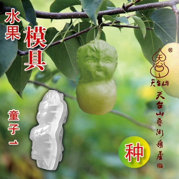 фрукты и овощи в виде знаменитостей, тыква в форме Мао Цзедуна