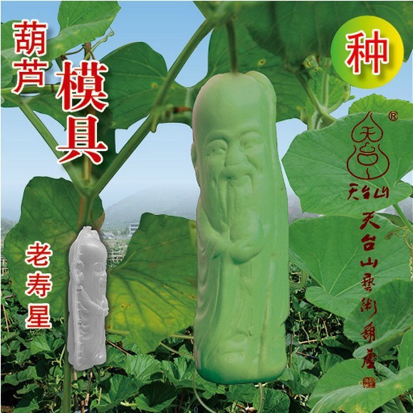 фрукты и овощи в виде знаменитостей, тыква в форме Мао Цзедуна