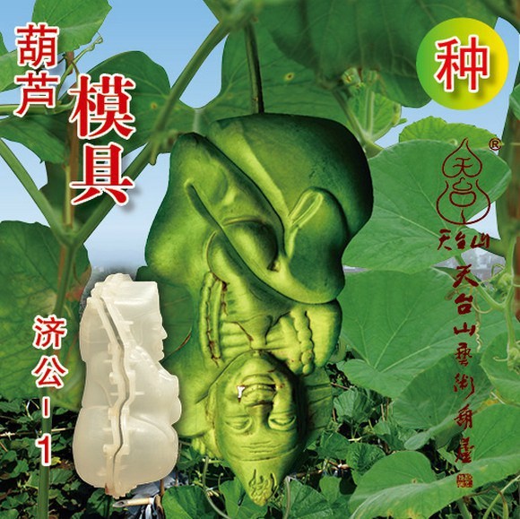 фрукты и овощи в виде знаменитостей, тыква в форме Мао Цзедуна