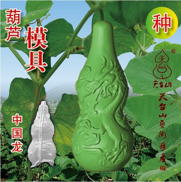 фрукты и овощи в виде знаменитостей, тыква в форме Мао Цзедуна