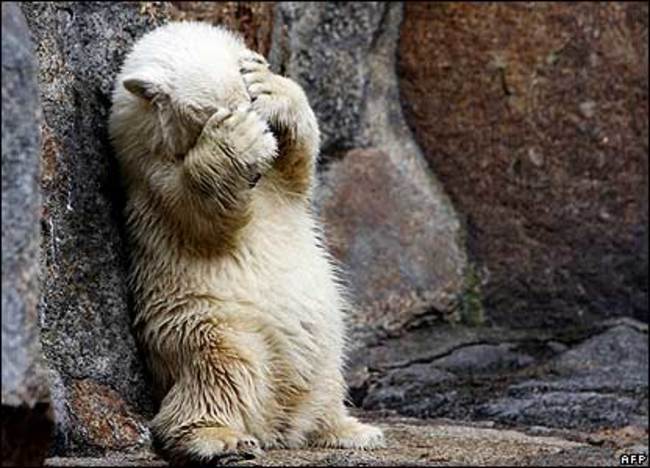 вещи надо знать перед тем как жить с парнем, совместная жизнь с девушкой, жизнь с парнем смешное