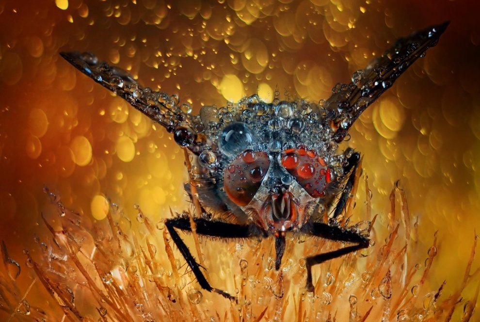 лучшие фотографии без использования фотошопа, фотографии за ноябрь 2014