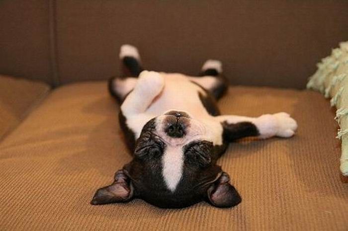 познавательные факты, а вы знали что, спорим вы не знали