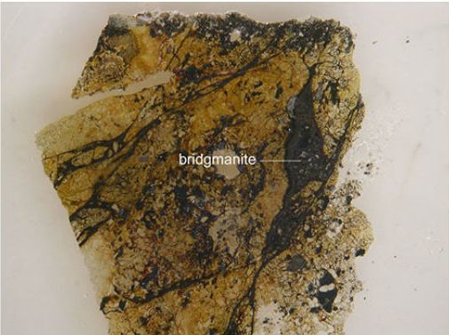 познавательные факты, а вы знали что, спорим вы не знали