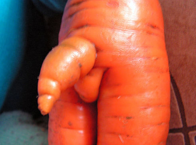 природа одержима пенисами, продукты в форме пенисов