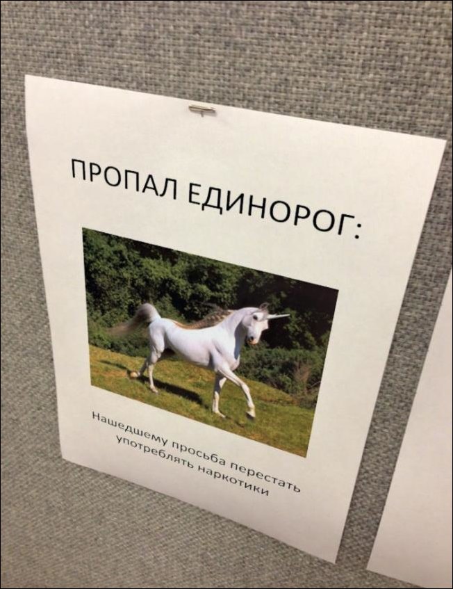 смешные надписи, объявления, маразмы