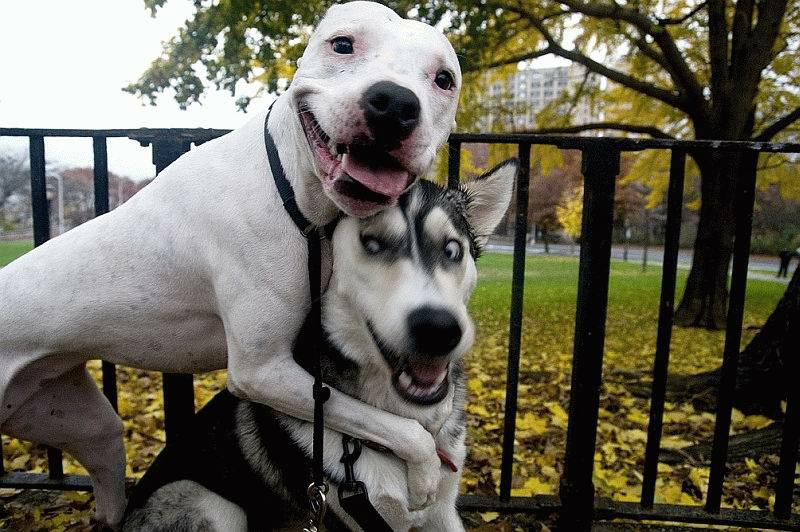 Альманах, познавательное, факты, спорим, вы не знали