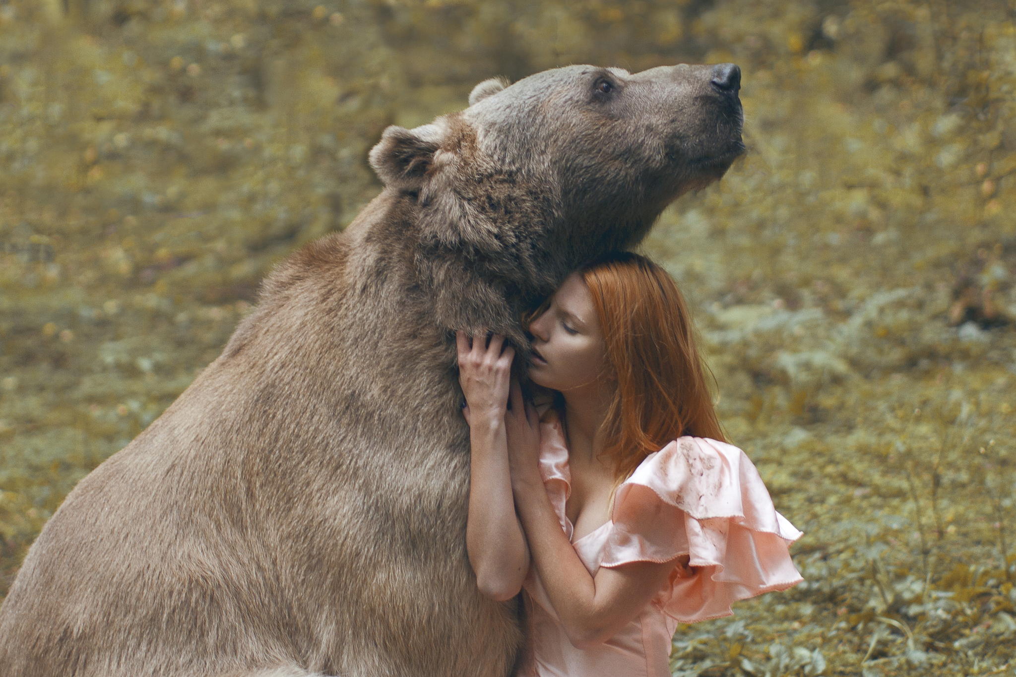 Woman with animals. Катерина Плотникова медведь. Девушка и медведь. Фотосессия с дикими животными. Дикие животные и человек.