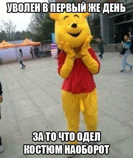 Позитив, юмор, смешные фотографии,прикол