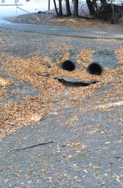 Позитив, юмор, смешные фотографии,прикол