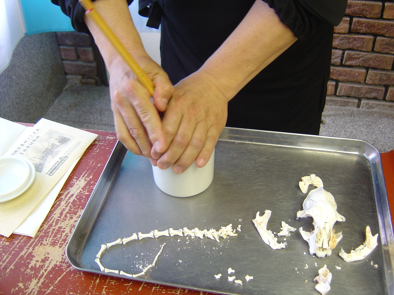 Как работает похоронное бюро для животных в Токио похоронное бюро для животных, ритуальные услуги для животных, похоронное бюро Токио