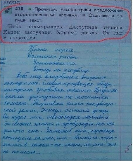 смешные надписи и объявления, маразмы
