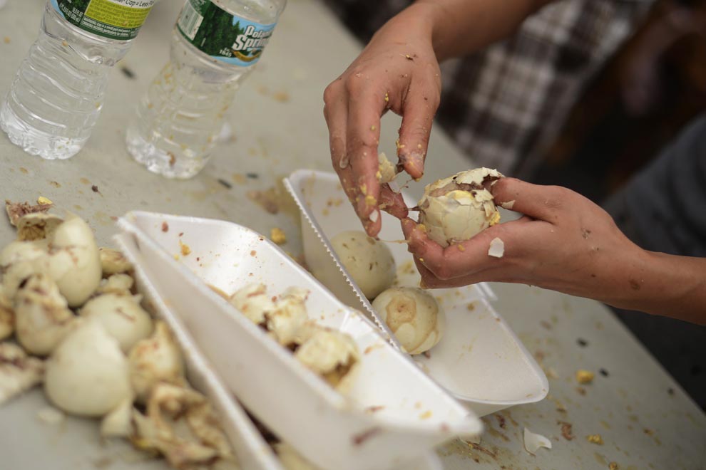 balut eating contest NYC, балут, утиные эмбрионы
