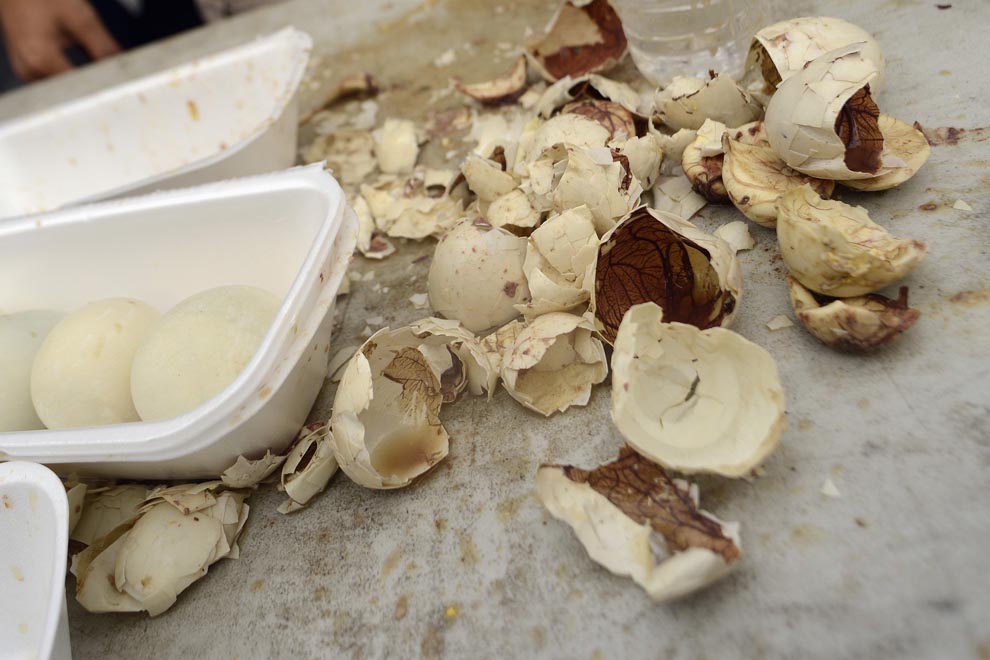 balut eating contest NYC, балут, утиные эмбрионы