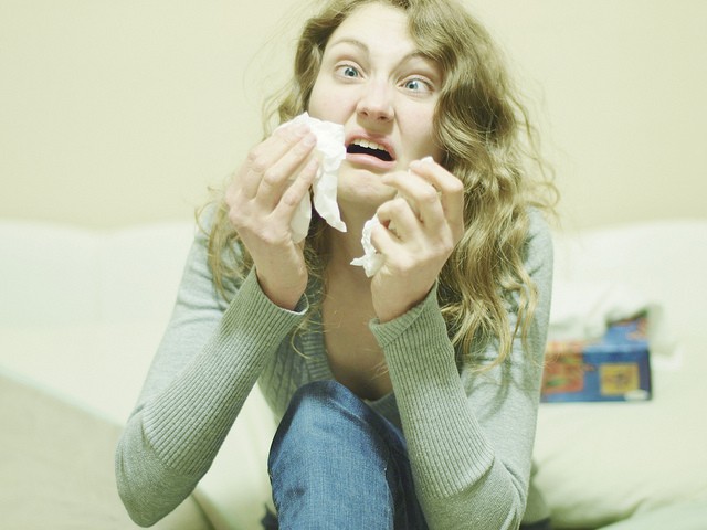 Смешные фотографии людей и животных, сделанные в момент чиханья фото во время чиханья, люди чихающие, животные чихают